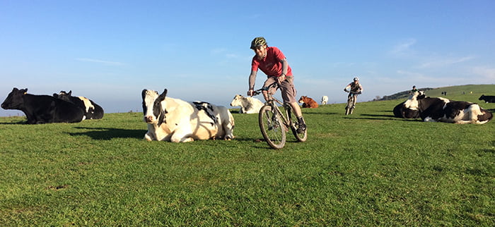 Feature-image-Outrides