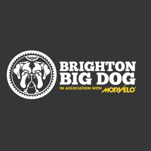 Brighton Big Dog