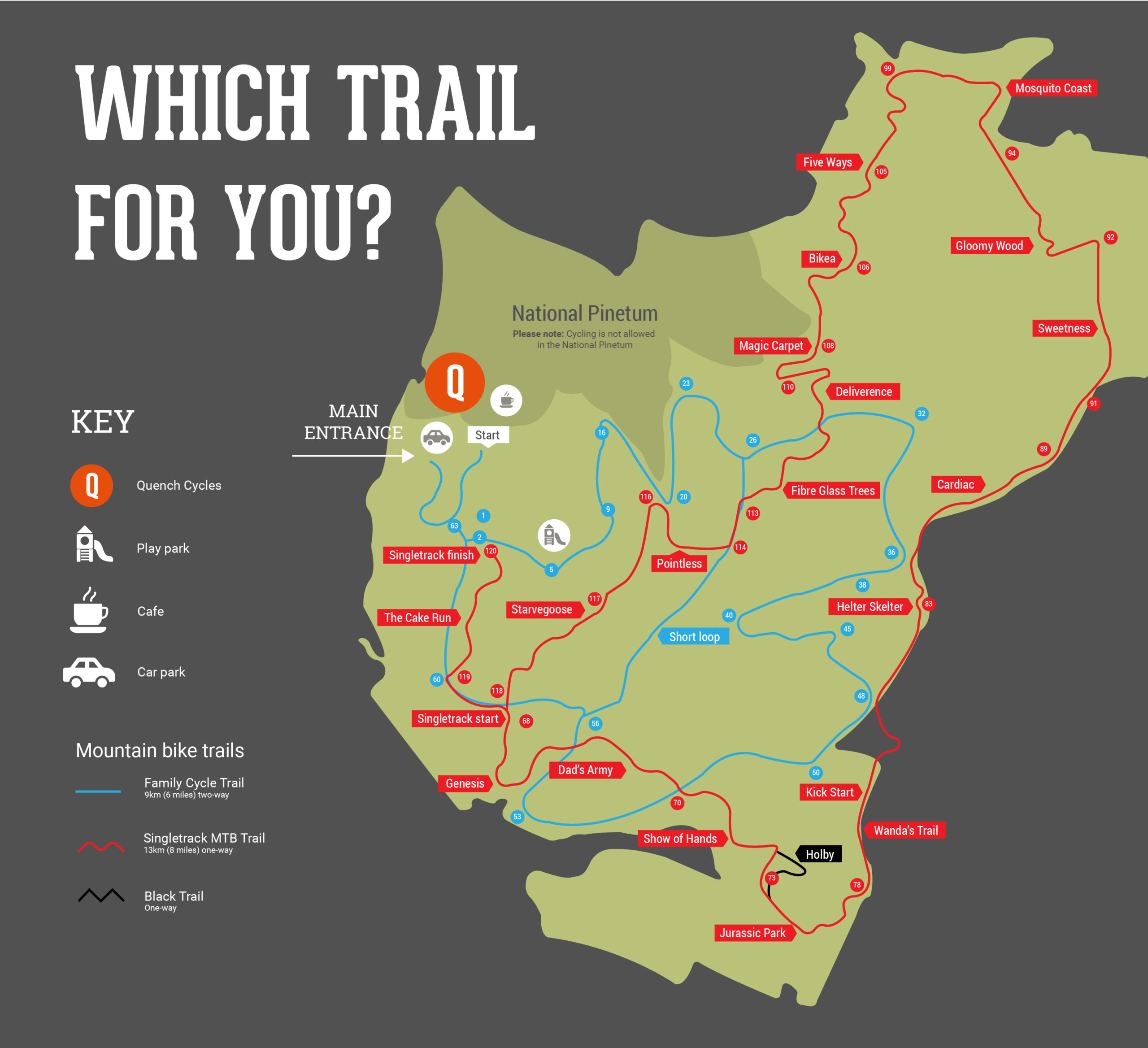 The Wonders of Tasmania’s Wilderness